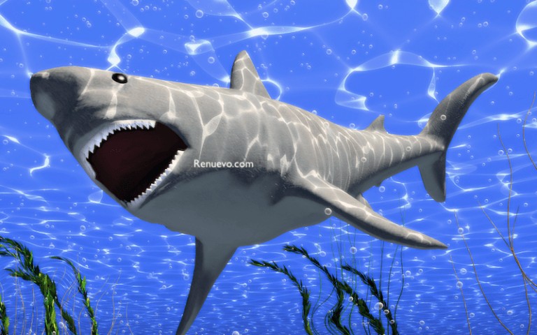El terrorífico ataque del tiburón. Absolutamente irreal