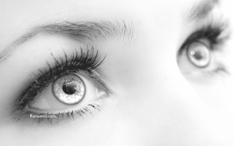 Los Ojos: La Lámpara Del Alma