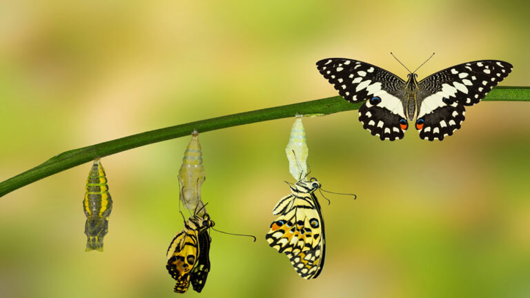 Transformación Espiritual: Poder del Espíritu​