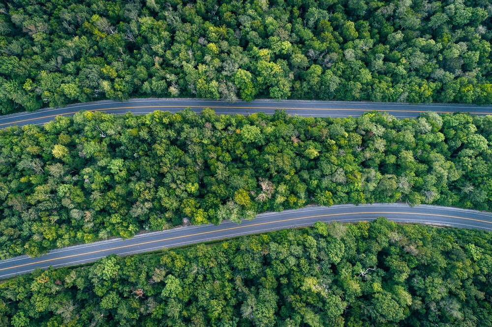Aerial view of a winding two-lane road cutting through dense green forest.