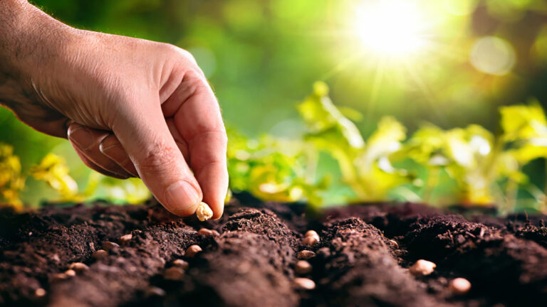 Cómo cultivar la humildad en 8 pasos