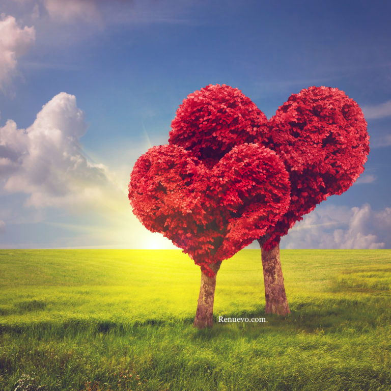 El Amor puede hacer Milagros