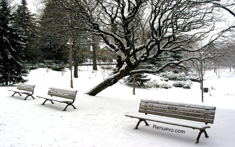 Temporada de Invierno Seco