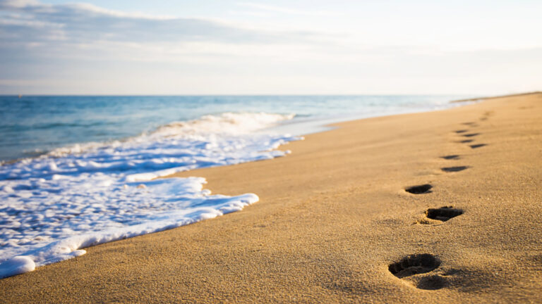 Footprints in wet sand along a shoreline with gentle waves at the water's edge.