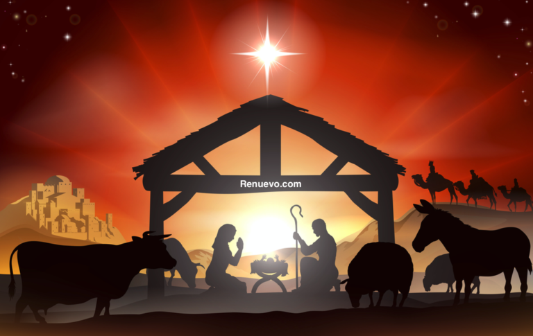 Reflexiones – La Palabra: Navidad