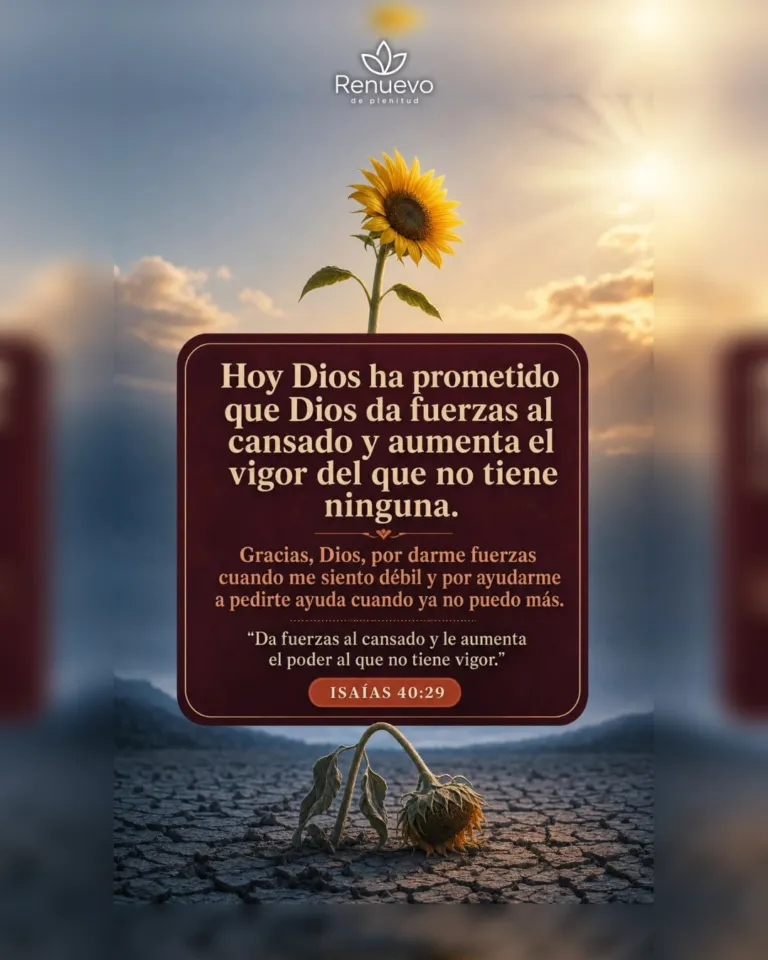 promesa-107-bca91620-b4e7-4c7a-9888-a6604da5c82d - Renuevo De Plenitud Dios da fuerzas al cansado y aumenta el vigor del que no tiene ninguna (Isaías 40:29)
