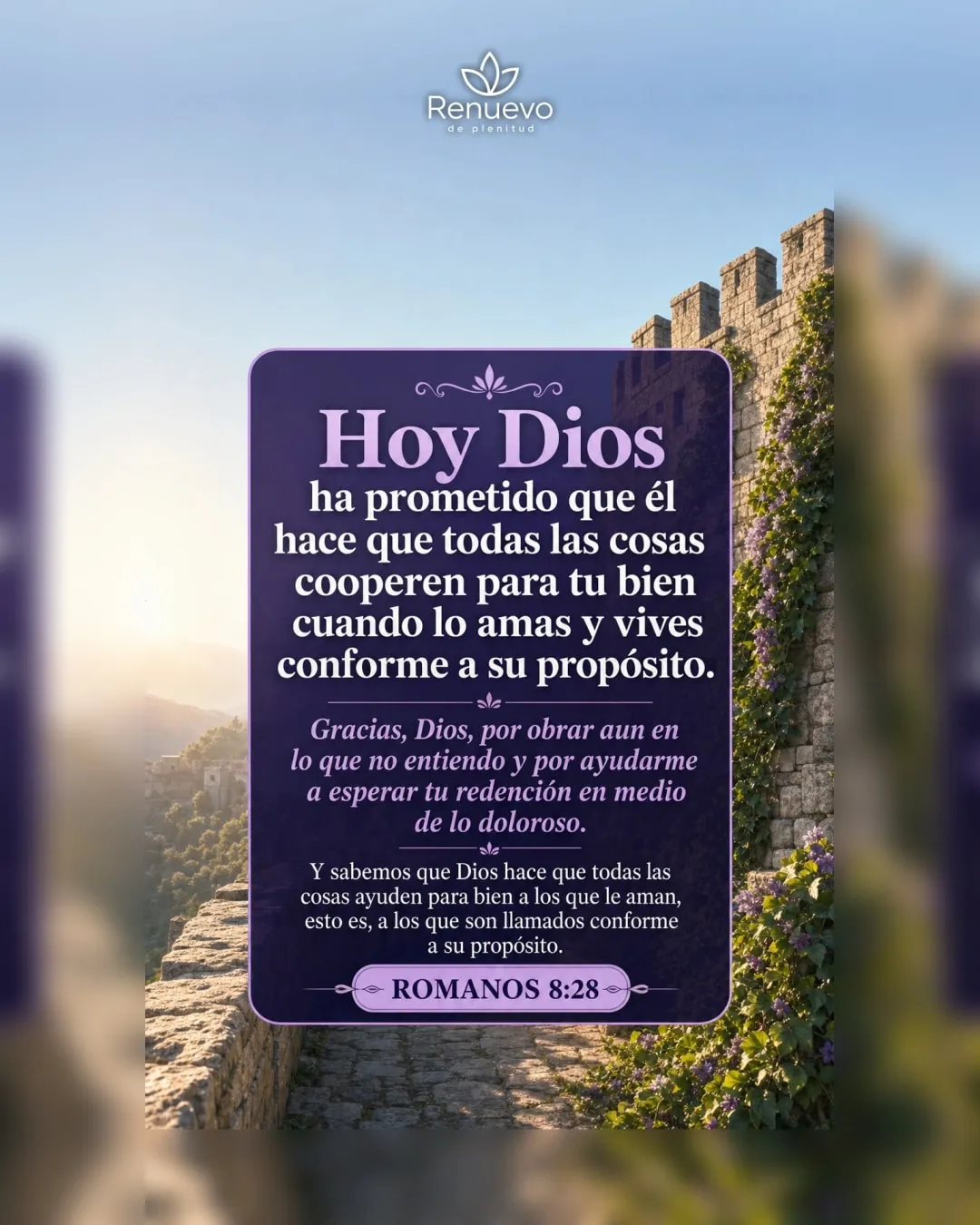 promesa-117-9aa55c0d-3339-46e9-9672-17f074aaabd7 - Renuevo De Plenitud Él hace que todas las cosas cooperen para tu bien cuando lo amas y vives conforme a su propósito (Romanos 8:28)