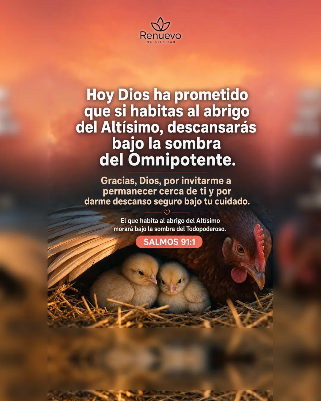 si habitas al abrigo del Altísimo, descansarás bajo la sombra del Omnipotente (Salmos 91:1)