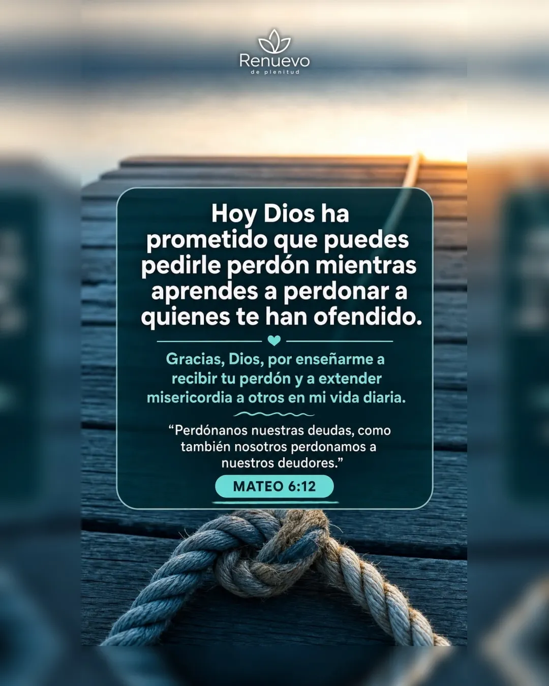 puedes pedirle perdón mientras aprendes a perdonar a quienes te han ofendido (Mateo 6:12)