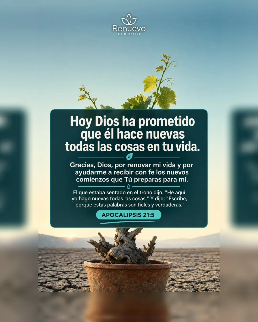 Él hace nuevas todas las cosas en tu vida (Apocalipsis 21:5)