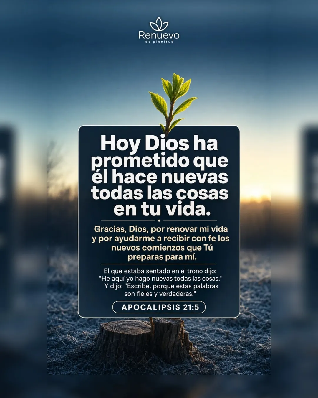 promesa-145-57919a71-a86f-4b12-af73-c37d78305af0 - Renuevo De Plenitud Él hace nuevas todas las cosas en tu vida (Apocalipsis 21:5)