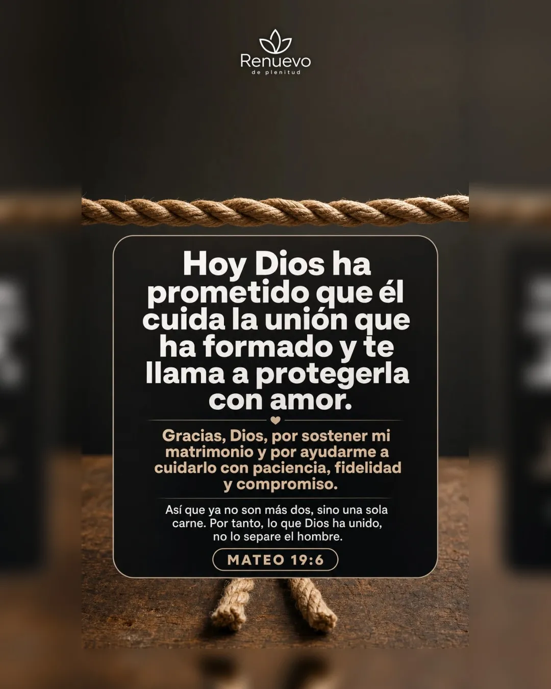 promesa-155-838b01a7-affc-47fe-bf72-a276989c1d61 - Renuevo De Plenitud Él cuida la unión que ha formado y te llama a protegerla con amor (Mateo 19:6)