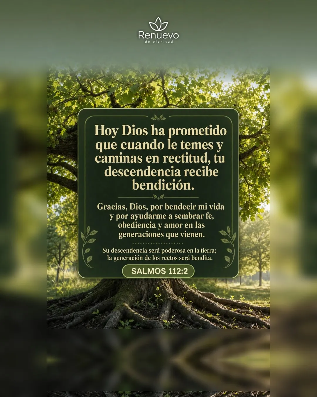 promesa-170-40171beb-267b-43aa-93b3-c60c7dfcaf95 - Renuevo De Plenitud cuando le temes y caminas en rectitud, tu descendencia recibe bendición (Salmos 112:2)