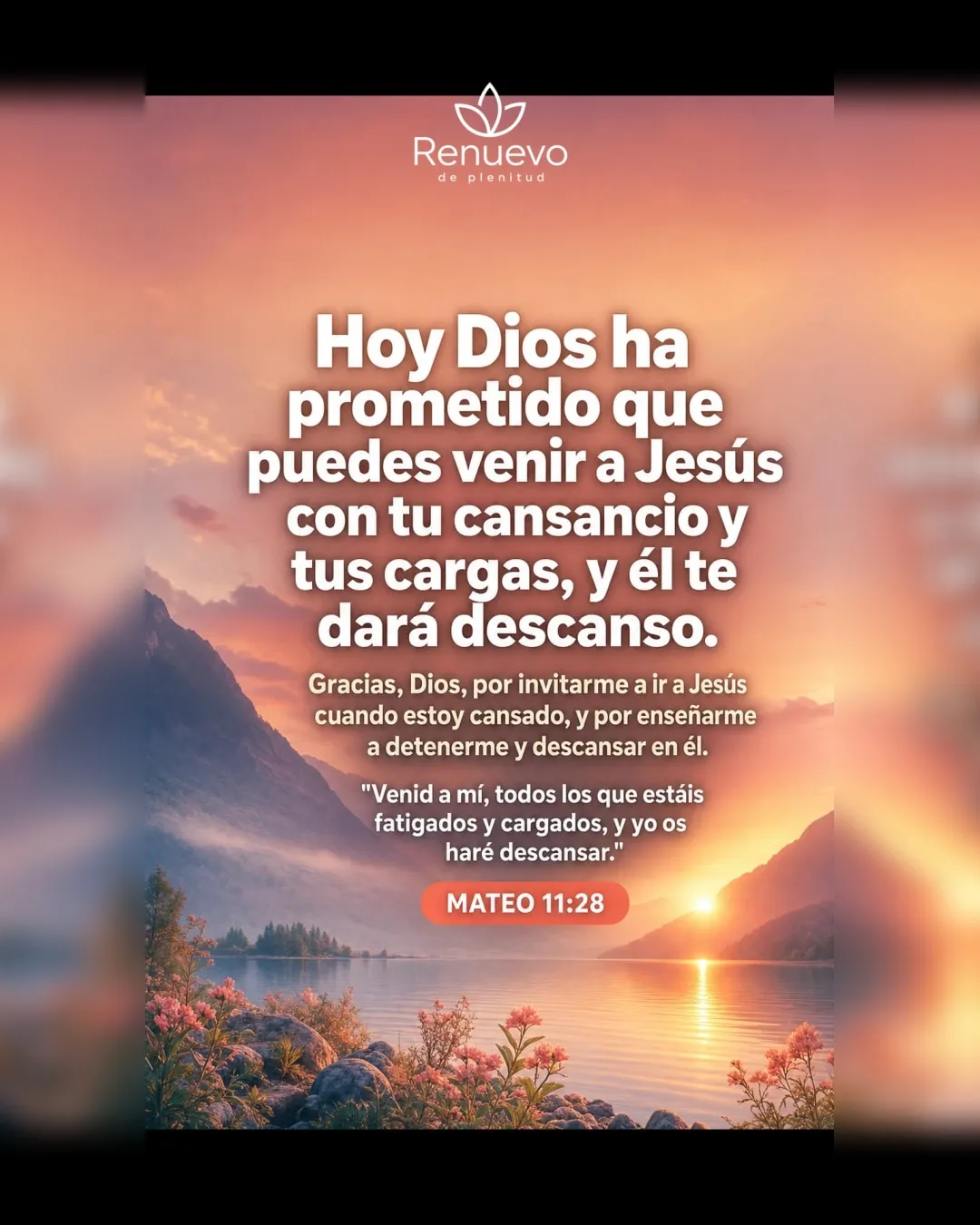 puedes venir a Jesús con tu cansancio y tus cargas, y él te dará descanso (Mateo 11:28)