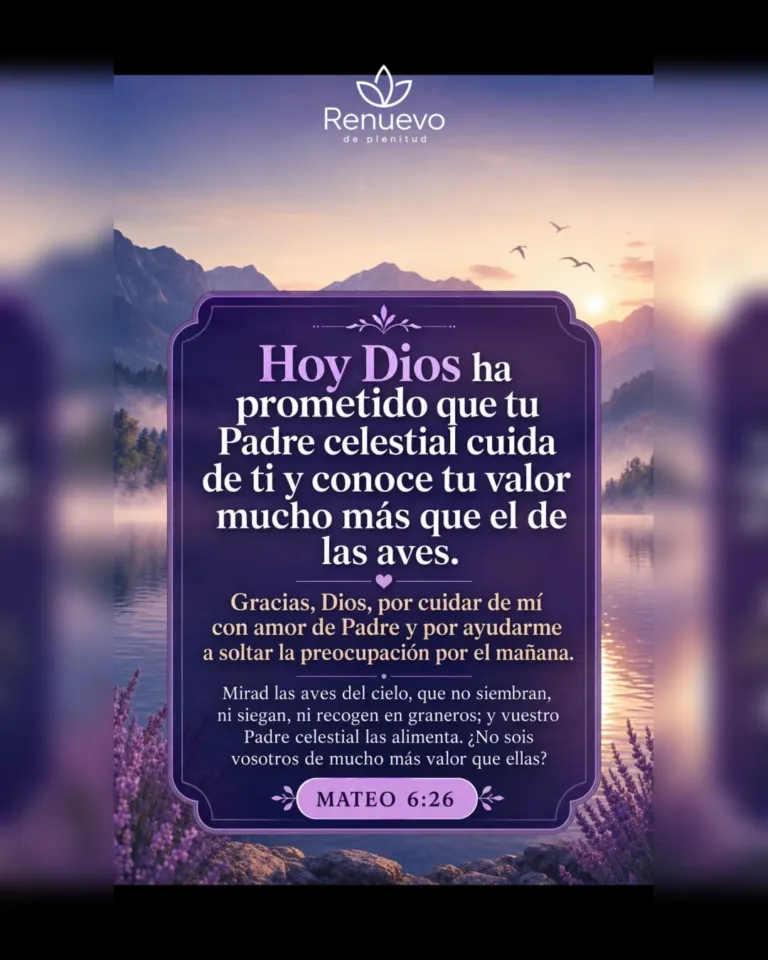 promesa-40-80a3f61a-08bf-4faa-b192-e1cb47bba253 - Renuevo De Plenitud tu Padre celestial cuida de ti y conoce tu valor mucho más que el de las aves (Mateo 6:26)