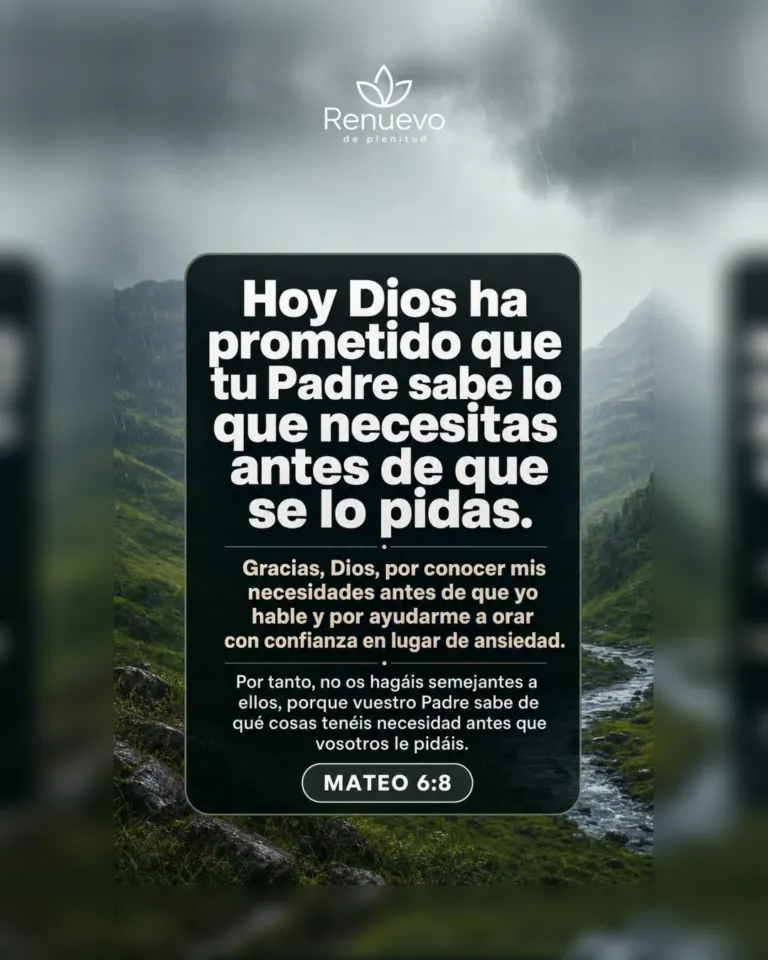 promesa-67-2f988ba0-ef5e-4476-afd1-709dbff76dad - Renuevo De Plenitud tu Padre sabe lo que necesitas antes de que se lo pidas (Mateo 6:8)