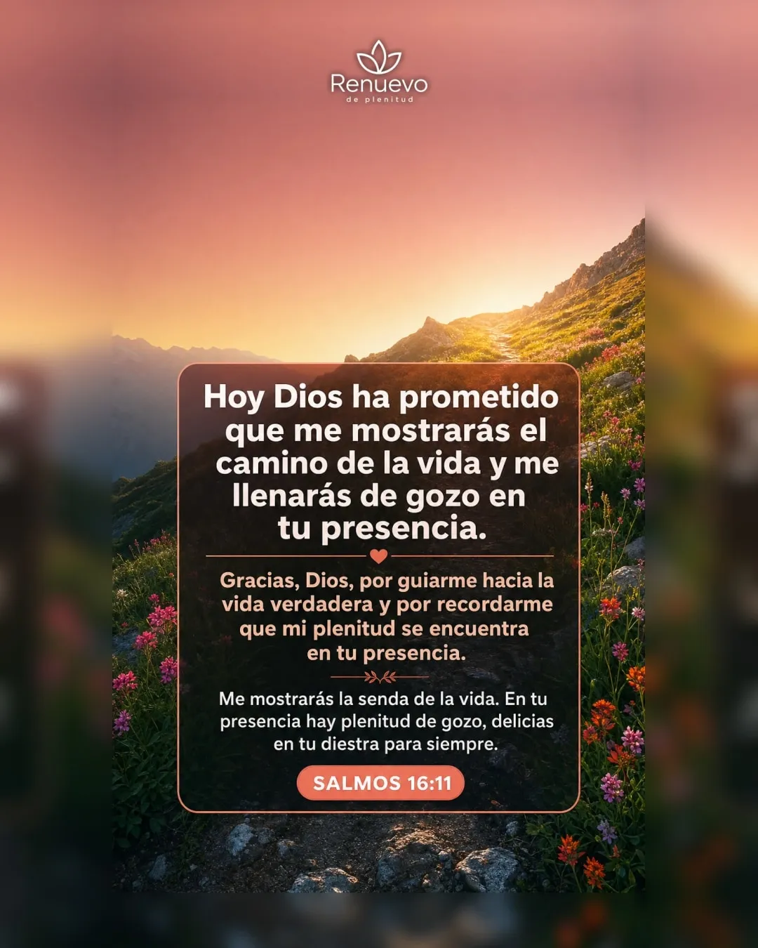 me mostrarás el camino de la vida y me llenarás de gozo en tu presencia (Salmos 16:11)