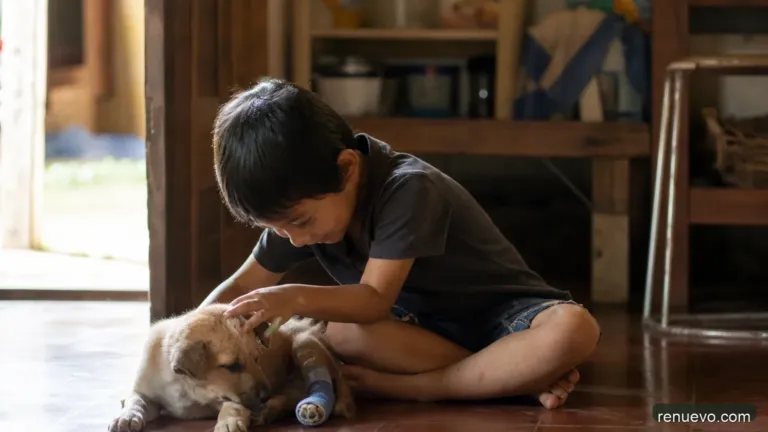 Reflexiones – El Niño y Su Perrito